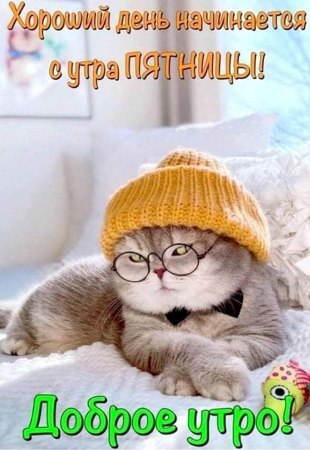 Доброе утро - Пятница