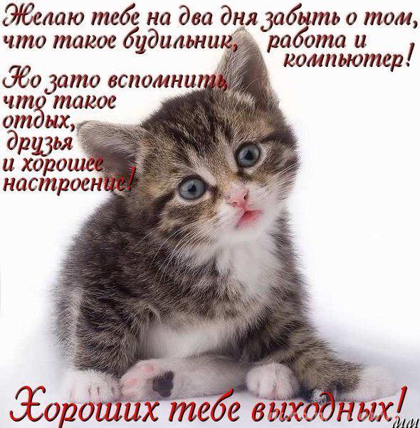 Хороших выходных
