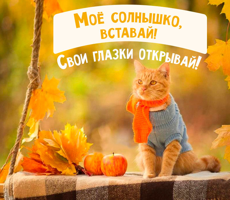 Доброе утро