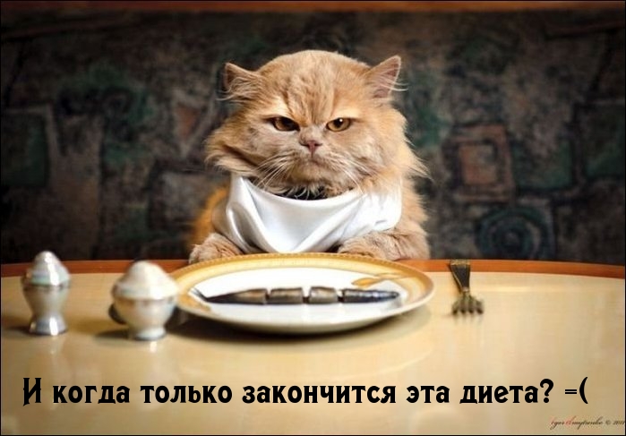 На Диете