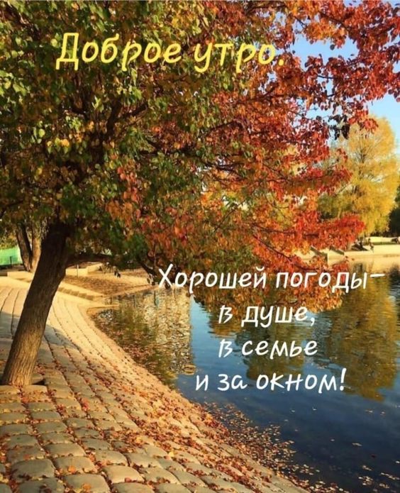 Доброе утро