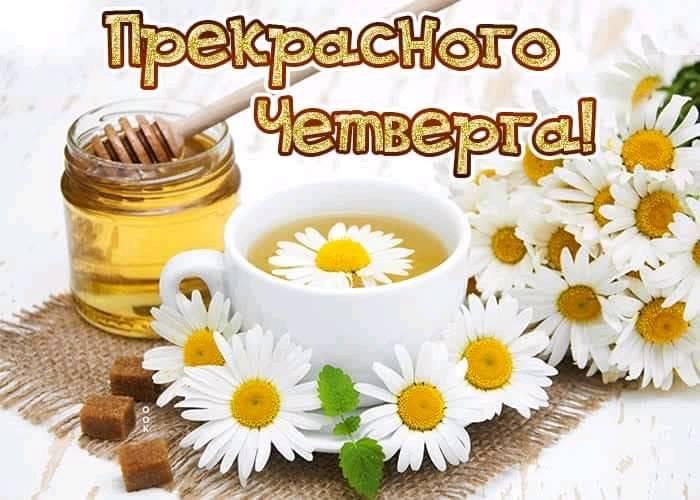 Доброе утро - Четверг