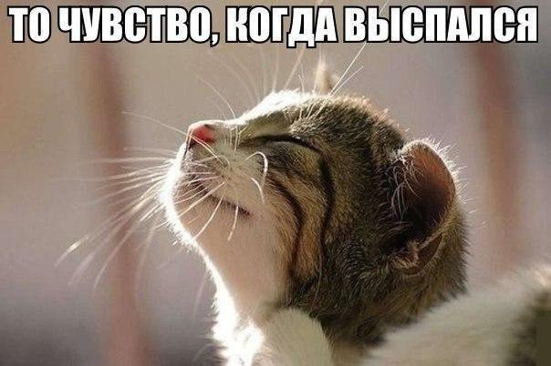 Доброе утро