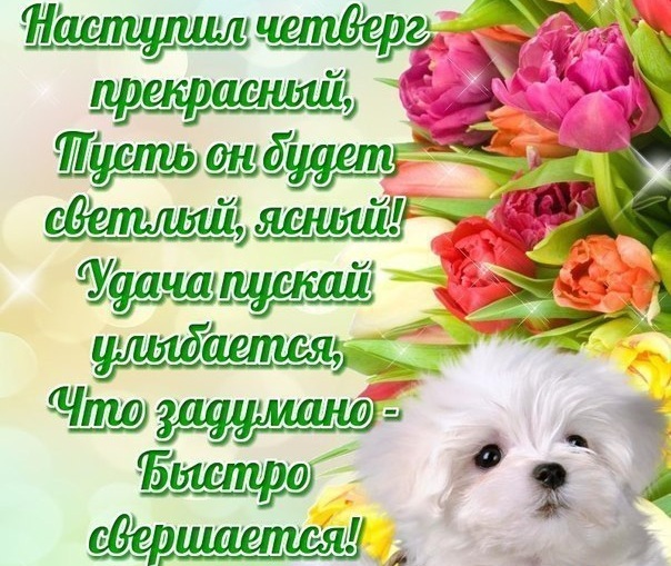 Доброе утро - Четверг