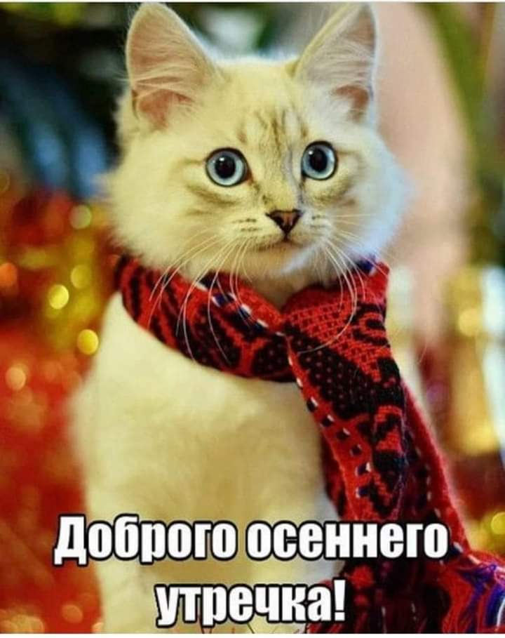 Доброе утро