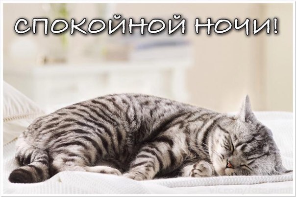Спокойной ночи