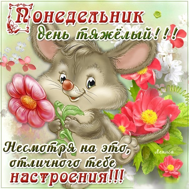 Доброе утро - Понедельник