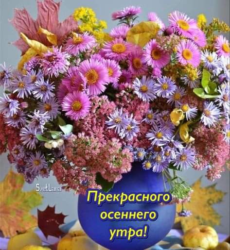 Доброе утро