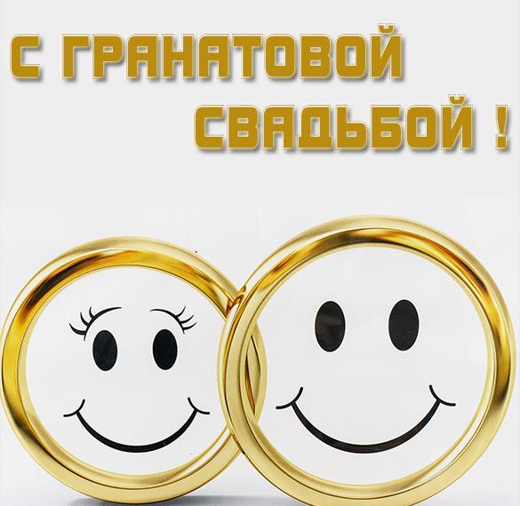 С Днем Свадьбы - Гранатовая 19 лет