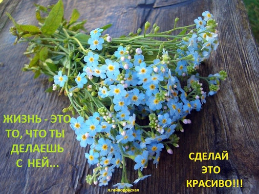 Афоризмы, фразы, цитаты