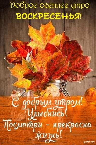 Доброе утро - Воскресенье