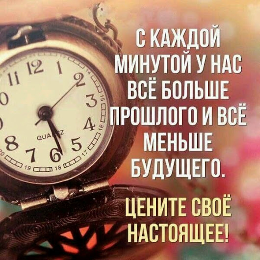 Афоризмы, фразы, цитаты