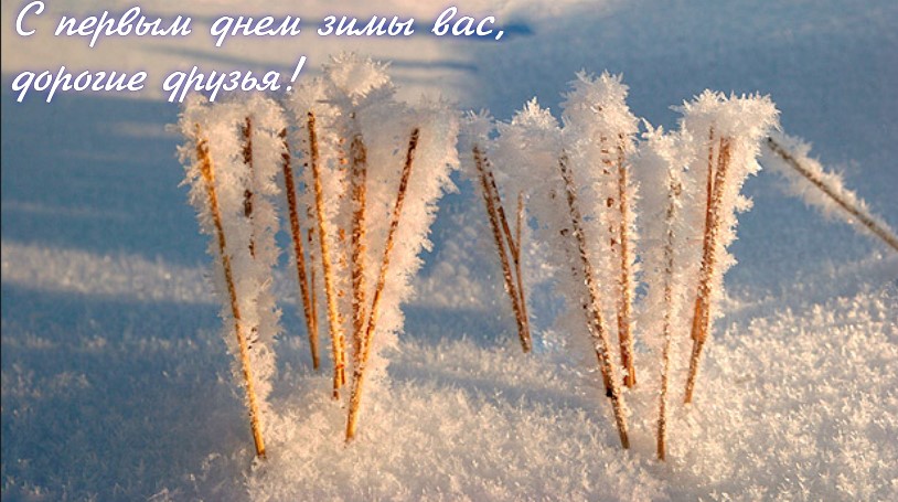 С первым днём зимы вас, дорогие друзья!