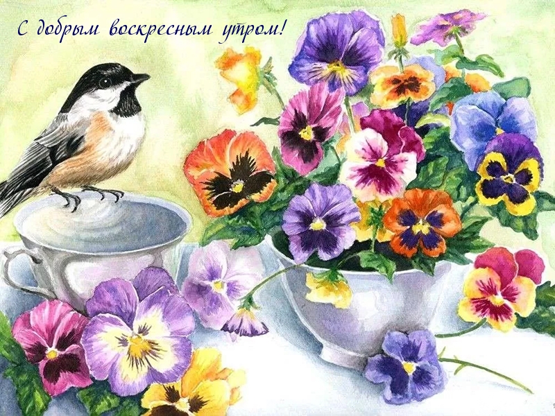 Доброе утро - Воскресенье
