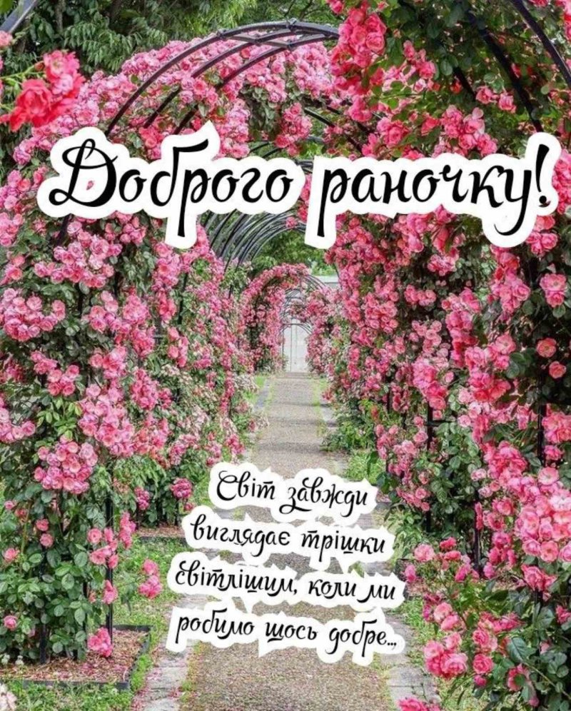 Доброе утро