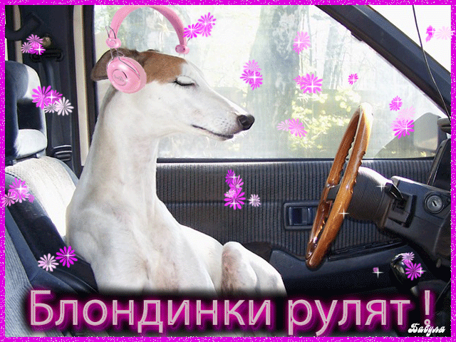 Праздники - С Днем блондинок