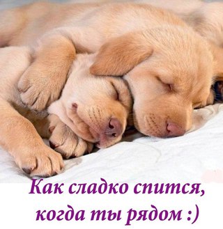 Люблю