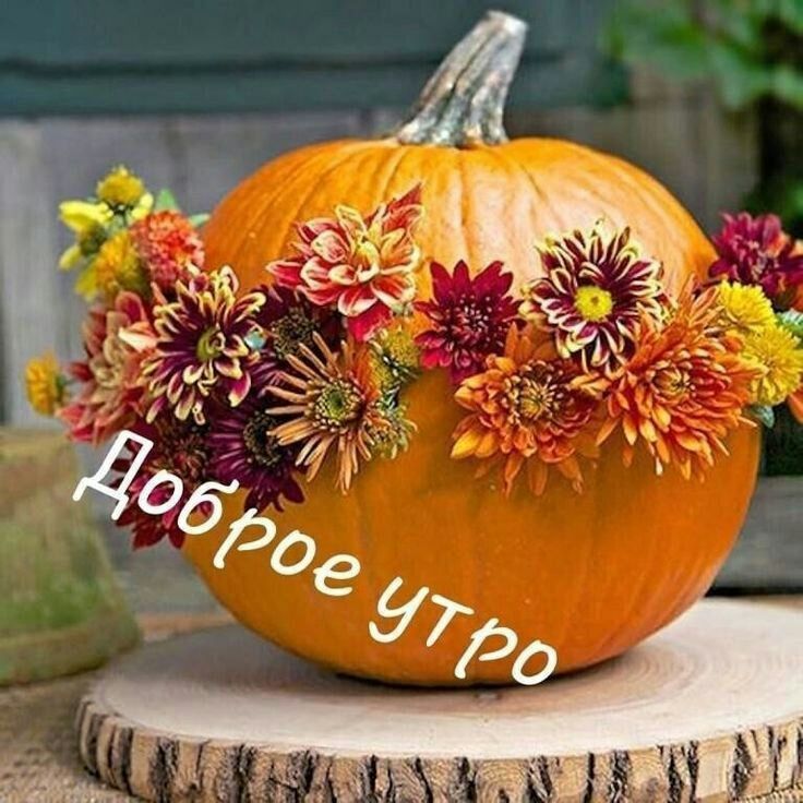 Доброе утро