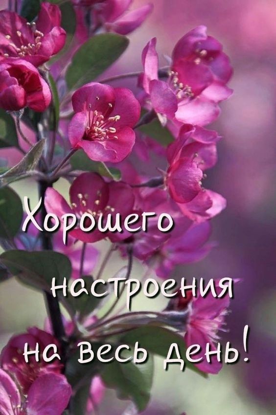 Доброе утро - Суббота