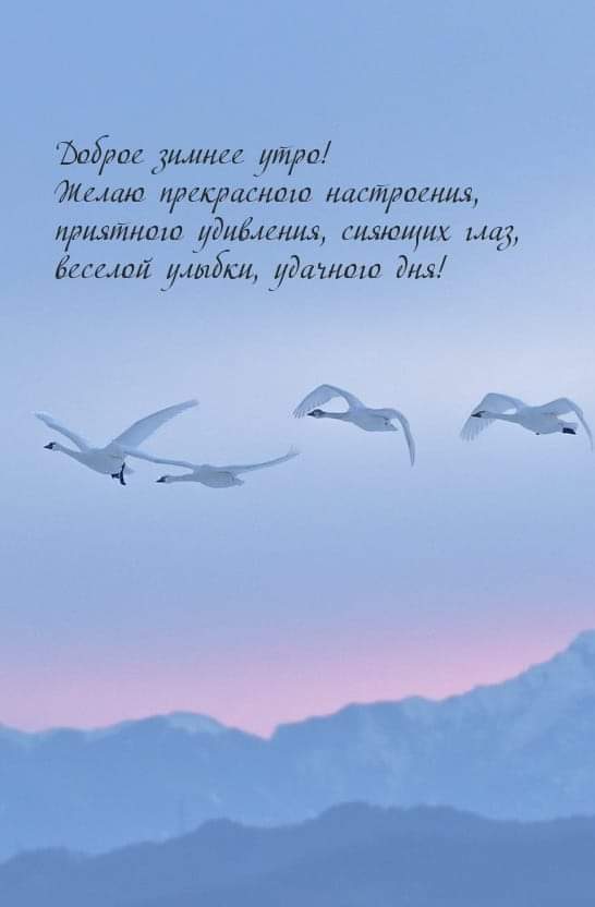 Доброе утро