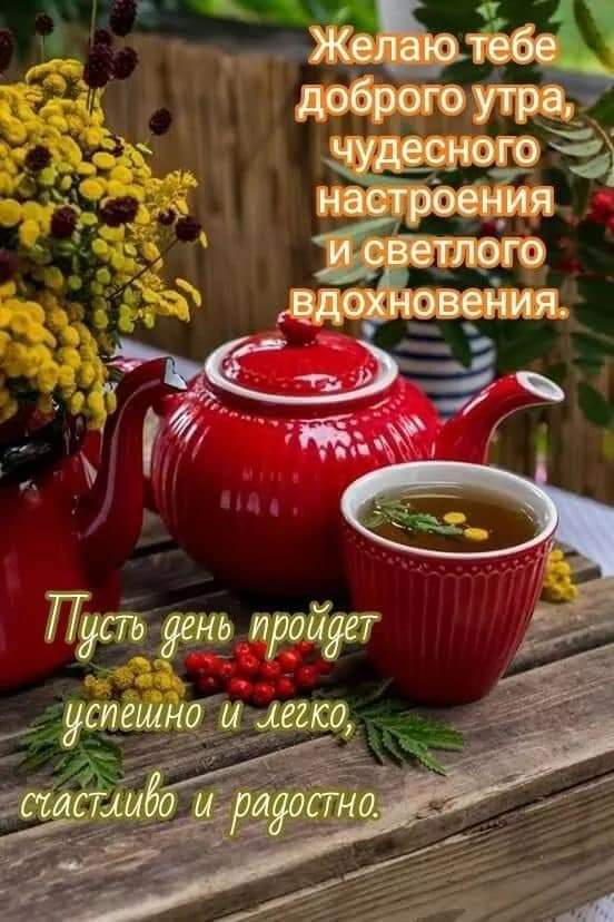 Доброе утро