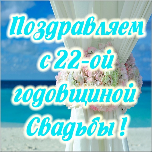 С Днем Свадьбы - Бронзовая 22 года