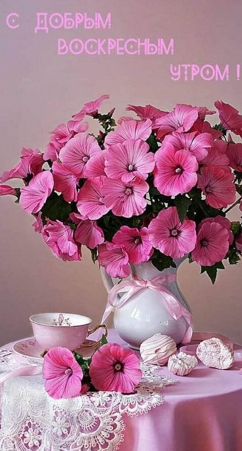 Доброе утро - Воскресенье