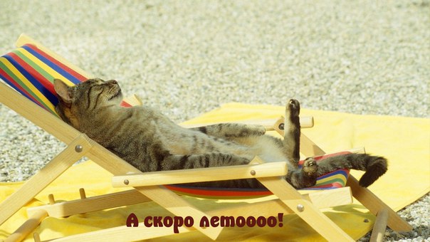 Праздники - Первый день лета