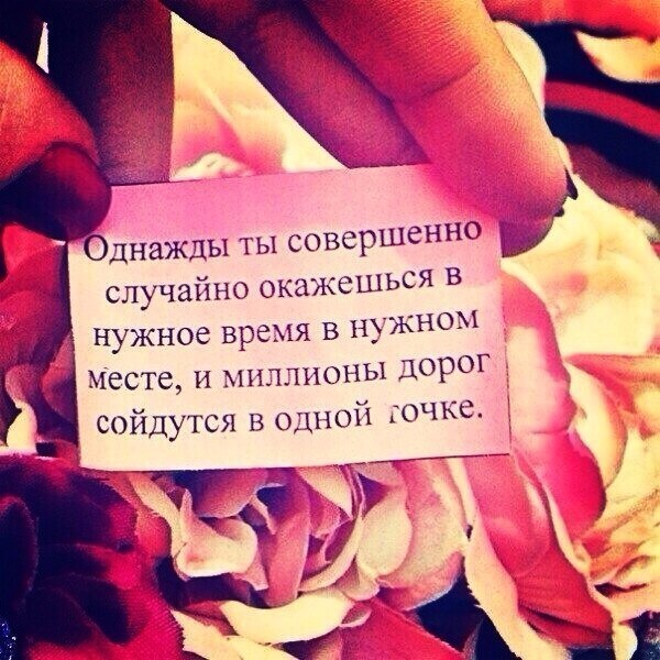 Афоризмы, фразы, цитаты
