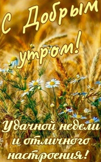 Доброе утро