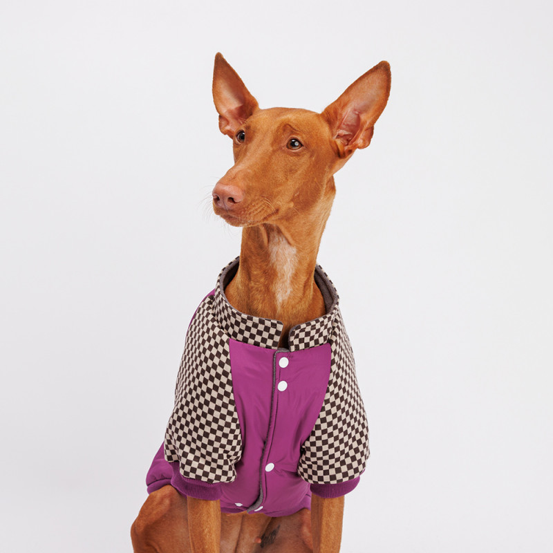Petmax Куртка для собак, 5XL, фиолетовая