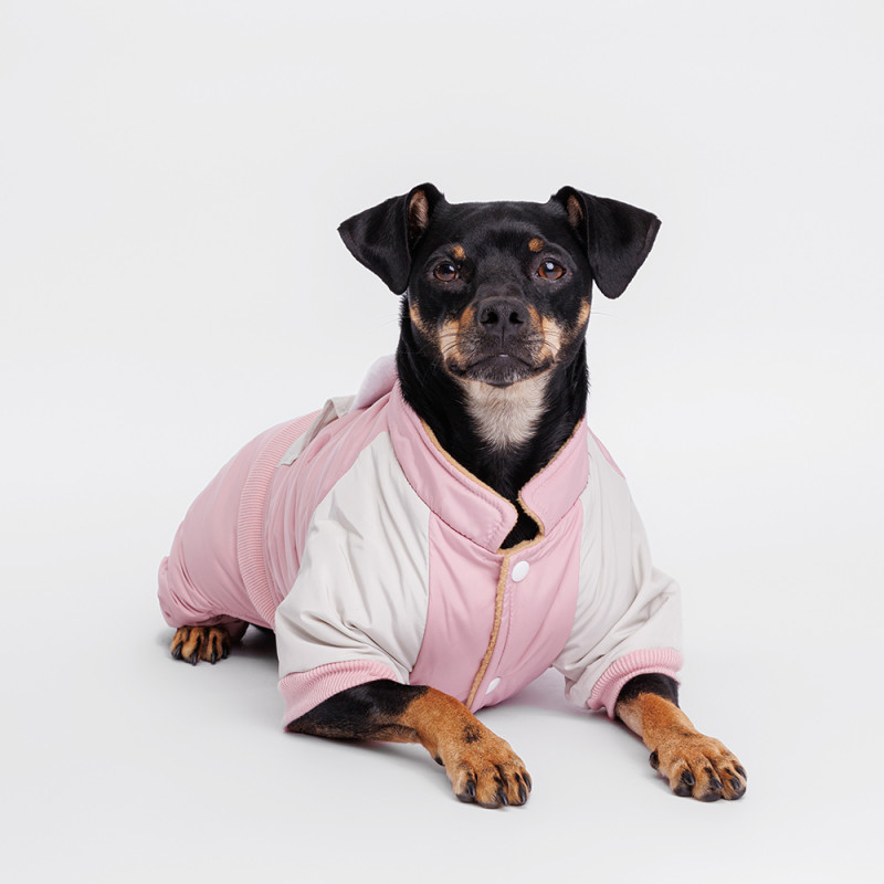 Petmax Комбинезон для собак Зайка, 2XL, розовый (девочка)