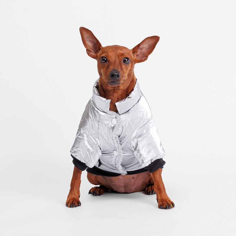 Rurri Куртка для собак, 2XL, серебряная