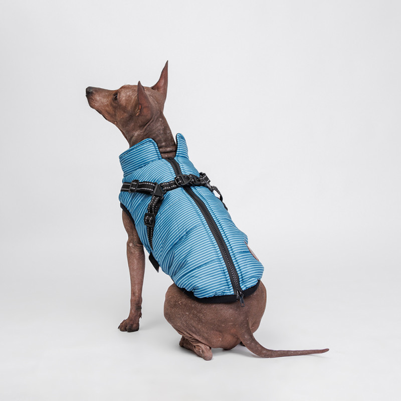 Rungo Попона теплая со шлейкой для собак, XL, синяя