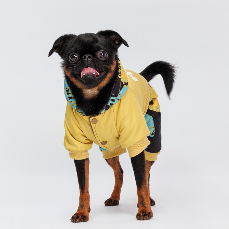 Petmax Комбинезон с капюшоном для собак, M, желтый