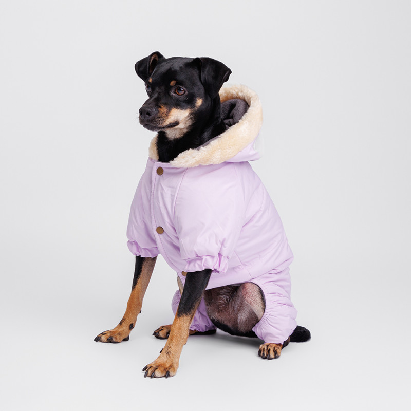 Petmax Комбинезон с оленем для собак, 2XL, фиолетовый (девочка)