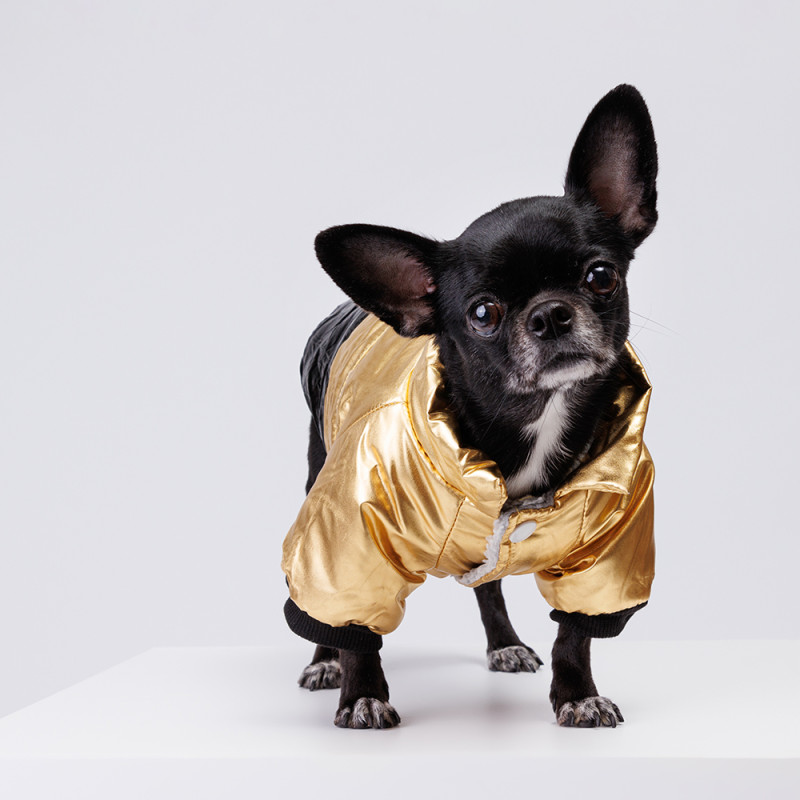 Rurri Куртка для собак, S, золотая