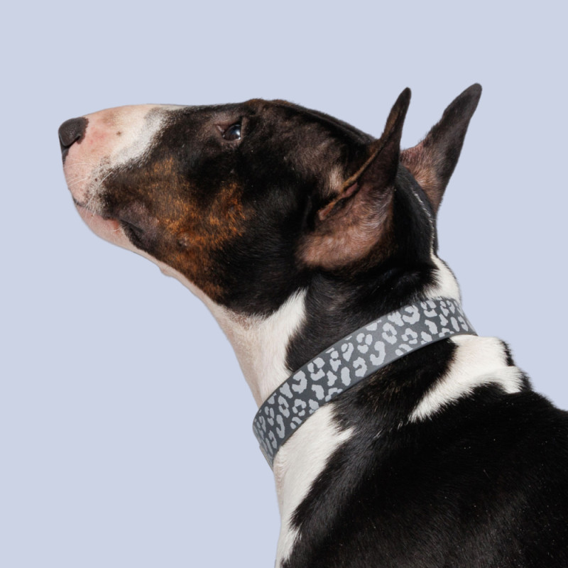 HiPet Ошейник из биотана светоотражающий для собак, 2,5x60 см, серый с пятнами
