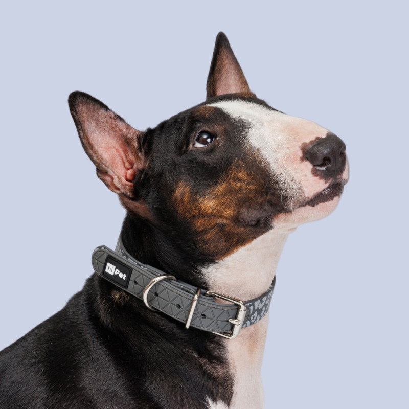 HiPet Ошейник из биотана светоотражающий для собак, 2,5x55 см, серый с пятнами