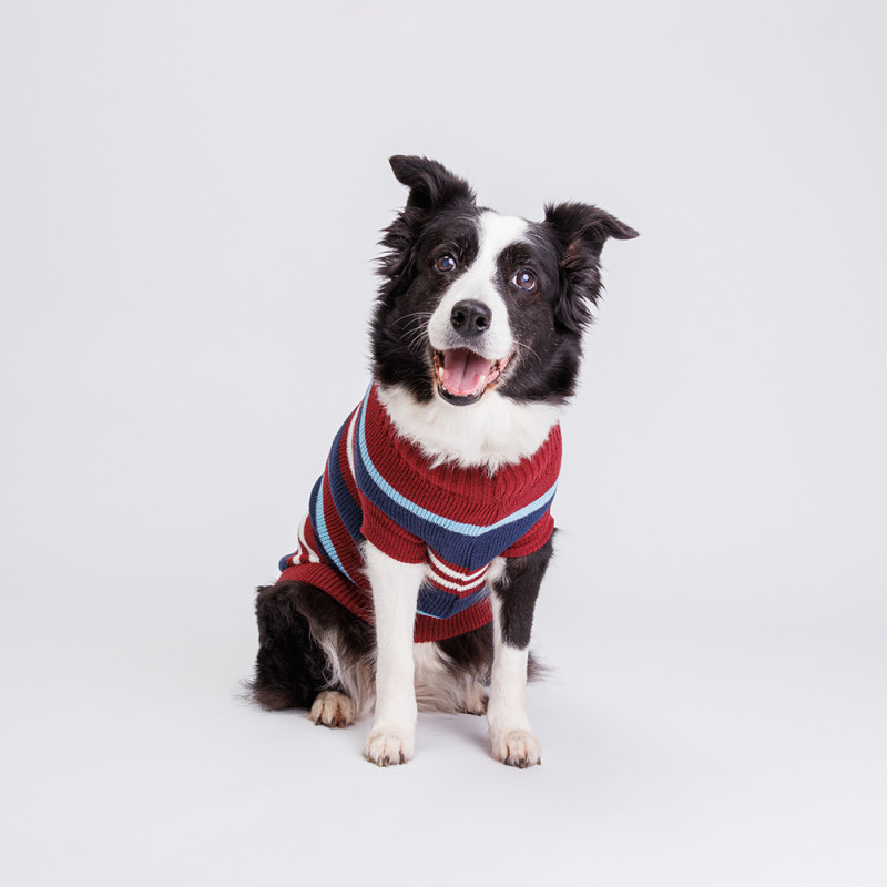 Petmax Свитер полосатый для собак, 55 см, бордовый