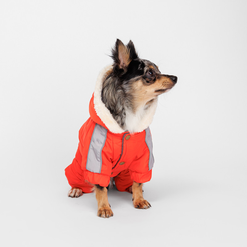 Petmax Комбинезон с капюшоном для собак, M, оранжево-серый