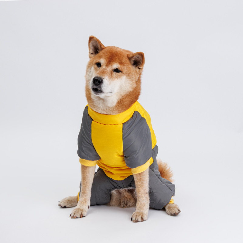 Petmax Комбинезон на замке для собак, 3XL, желто-серый