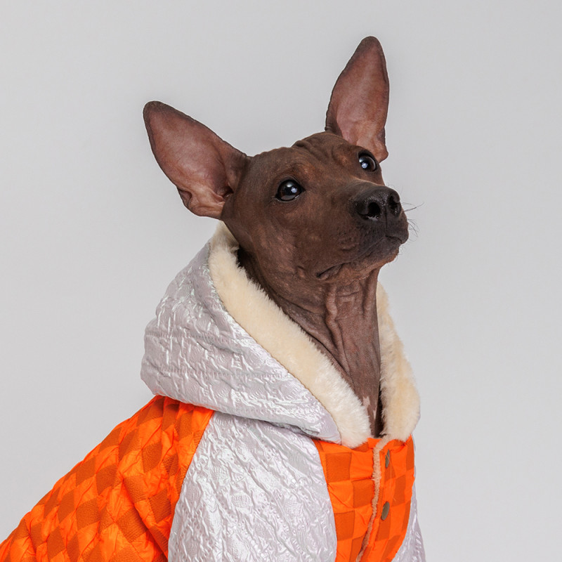 Petmax Комбинезон с капюшоном для собак, XL, оранжевый