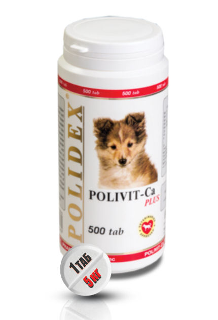 Polidex Поливит-Кальций плюс Кормовая добавка для собак, 500 таблеток