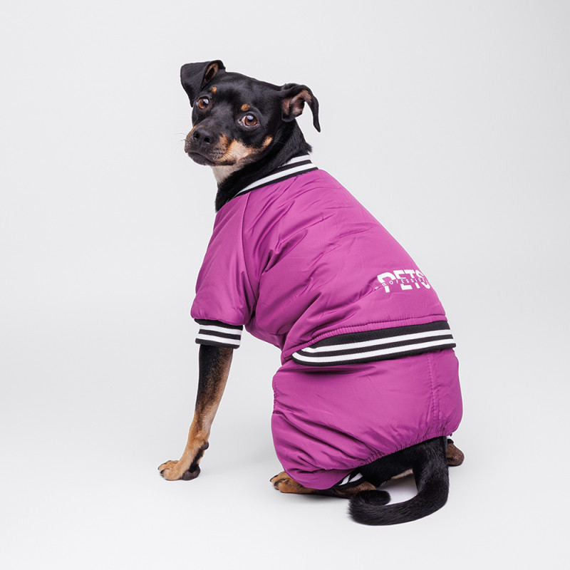 Petmax Комбинезон для собак Комикс, 2ХL, фиолетовый (девочка)
