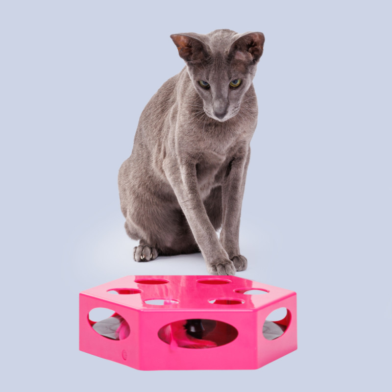 HiPet Игрушка интерактивная для кошек Коробка с игрушкой, 22,5х19,8х6 см