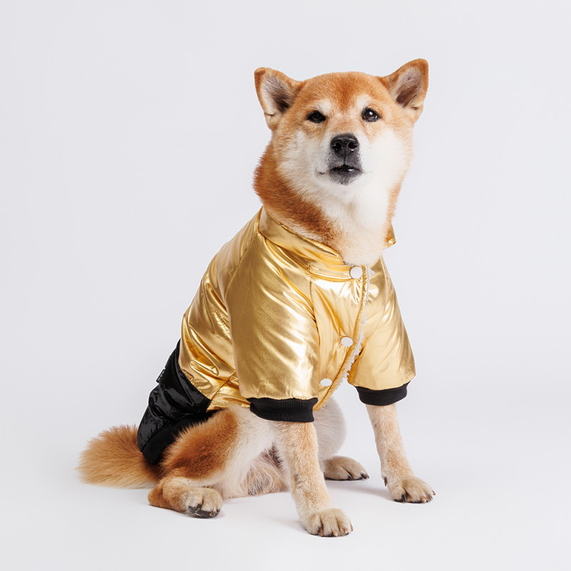 Rurri Куртка для собак, 2XL, золотая