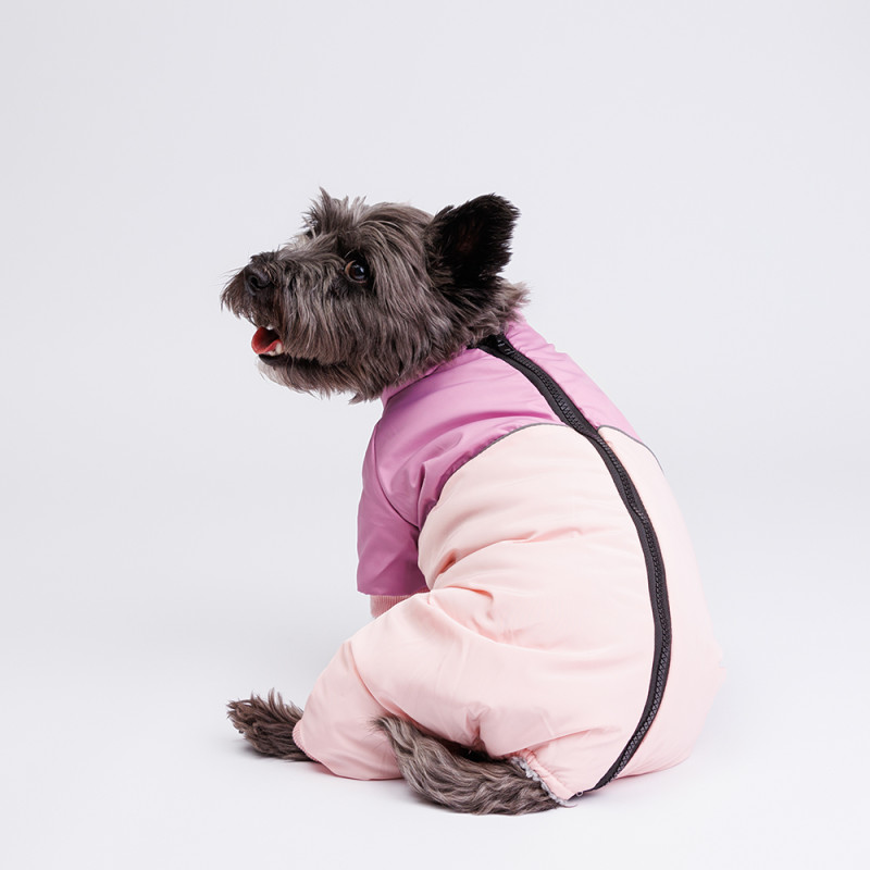 Petmax Комбинезон с диагональным замком для собак, M, розовый (девочка)