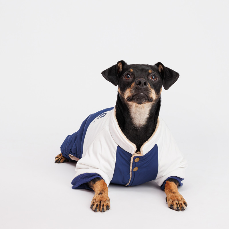 Petmax Комбинезон для собак, XL, сине-серый