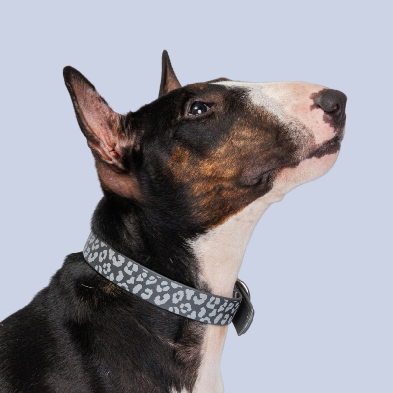 HiPet Ошейник из биотана светоотражающий для собак, 2,5x50 см, серый с пятнами